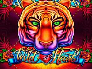 Wild at Hearth