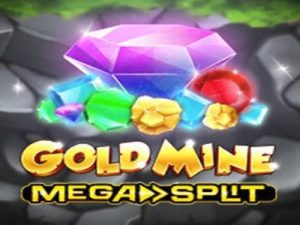Gold Mine MegaSplit