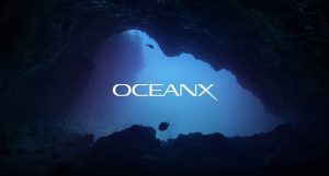 Ocean