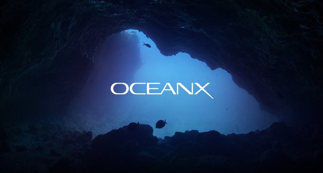 Play Ocean