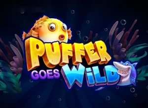 Puffer Goes WIld