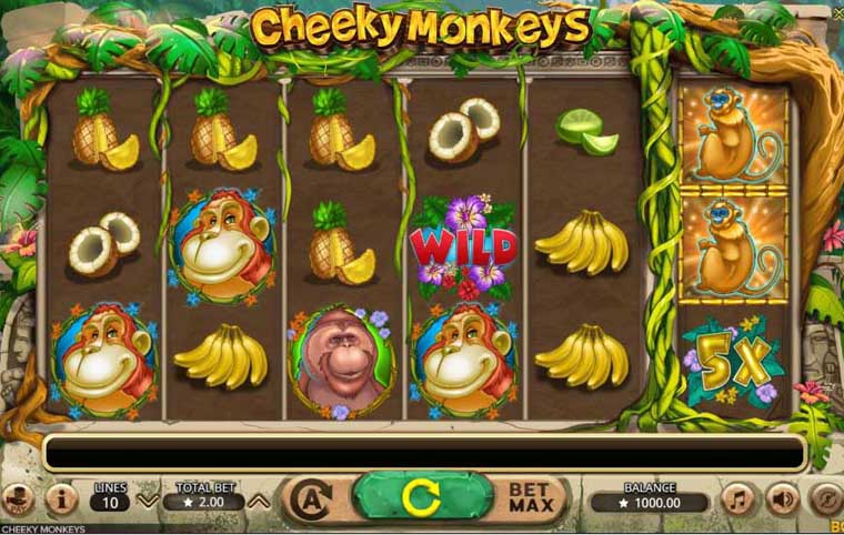 Play 3 Cheeky Chimps