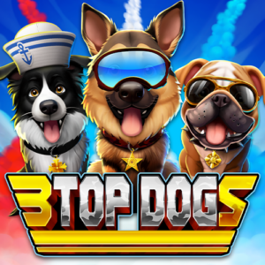 Play 3 Top Dogs