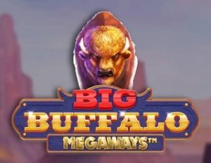 Big Buffalo