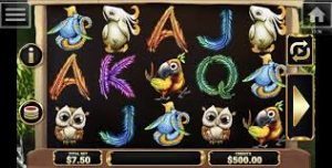 Birds Nest Slot