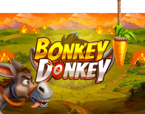 Bonkey Donkey