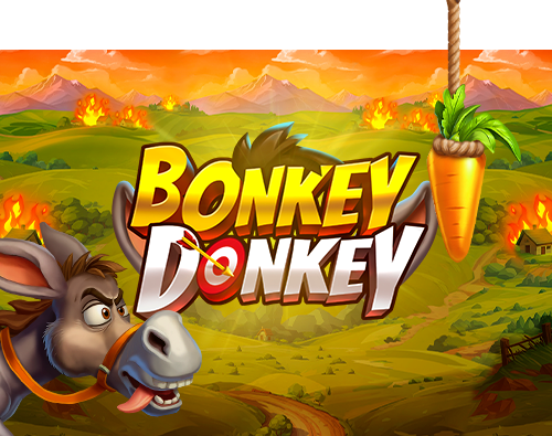 Bonkey Donkey