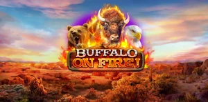 Buffalo on Fire!