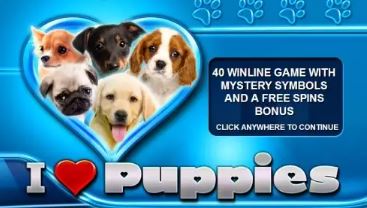 Play I Heart Puppies