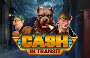 Cash In Transit