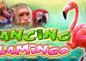 Dancing Flamingo