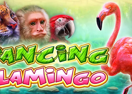 Dancing Flamingo