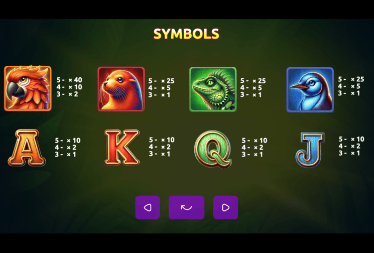 Screenshot  5 