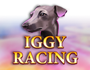 Iggy Racing