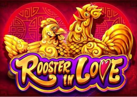 Play Rooster in Love