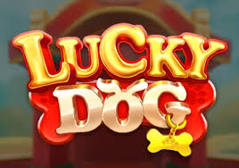 Play Lucky Dog