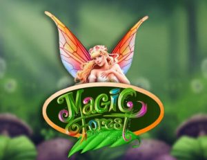 Magic Forest