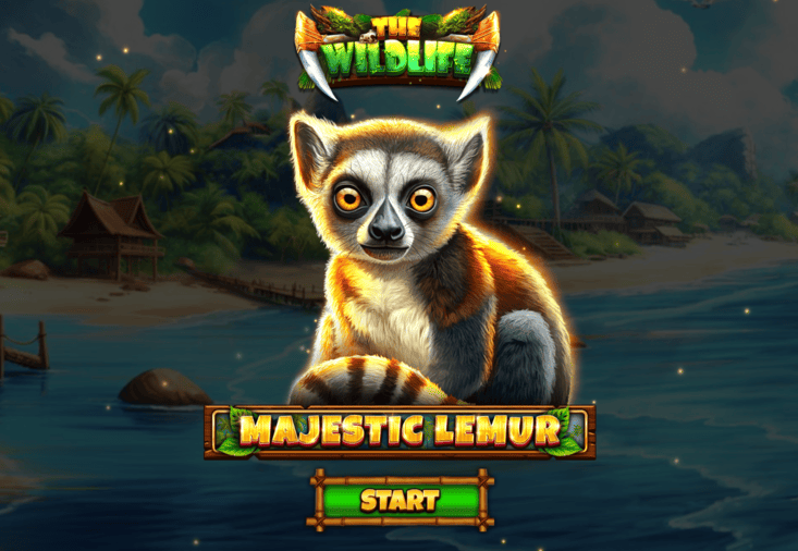 Screenshot  4 