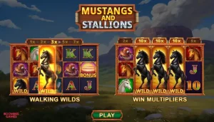 Mustang and Stallions