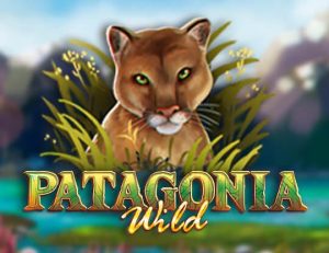 Patagonia Wild