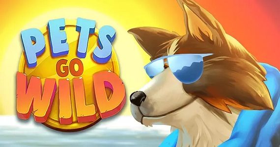 Play Pets Go Wild