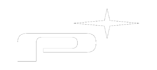 Platin logo