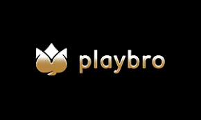 PlayBro logo