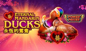 Power Prizes Eternal Mandarin Ducks