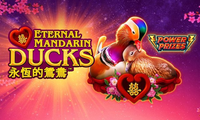 Play Power Prizes Eternal Mandarin Ducks