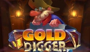 The Gold Digger slot