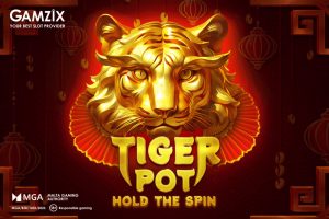 Tiger Pot: Hold The Spin