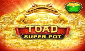 Toad Super Pot