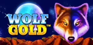 Wolf Gold 4 Pack