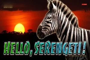 Hello, Serengeti