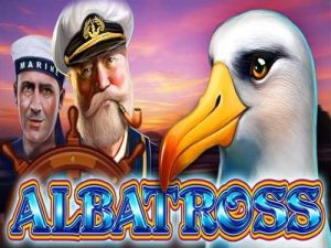 Albatross