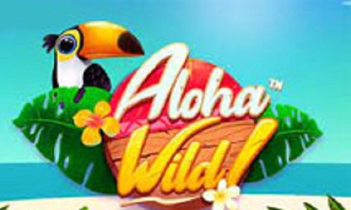Play Aloha Wild