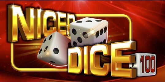 Play Nicer Dice 100