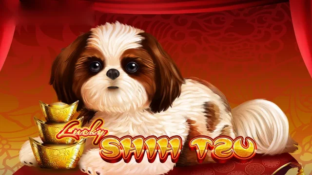 Play Lucky Shih Tzu