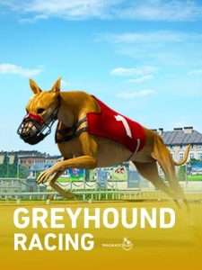 Instant Virtual Greyhounds