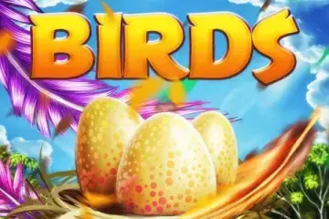 Play Birds