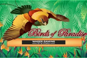 Play Birds of Paradise