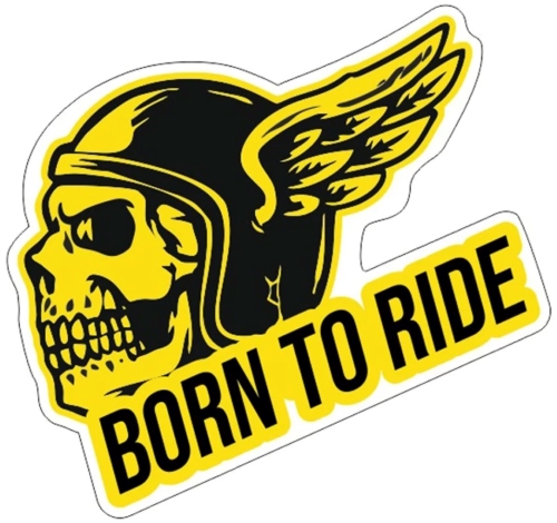 Play Born to Ride