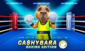 Cashybara Boxing Edition