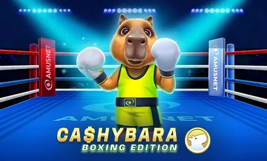 Cashybara Boxing Edition