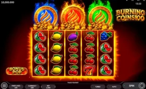 Burning Coins 100