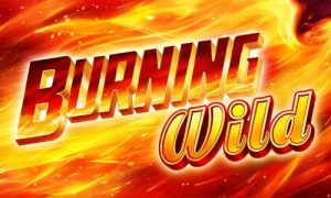 Burning WILD