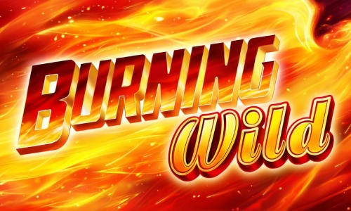 Play Burning WILD