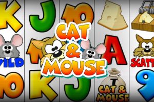 Cat & Mouse