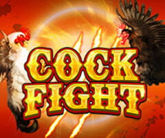 Play Cock Fighting