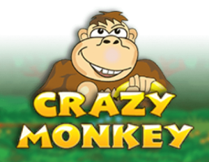 Crazy Monkey slot game